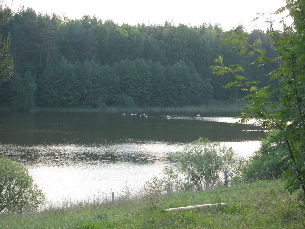 Holiday home Za Piecem Guzowy Piec